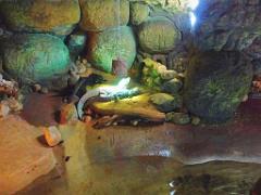 149 BIO PARC DE DOUE LA FONTAINE 1- 2016_000057